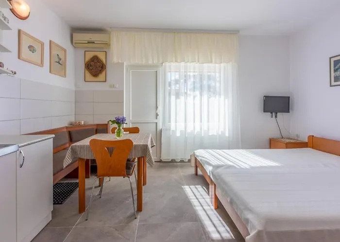 Klaric נובי ווינודולסקי